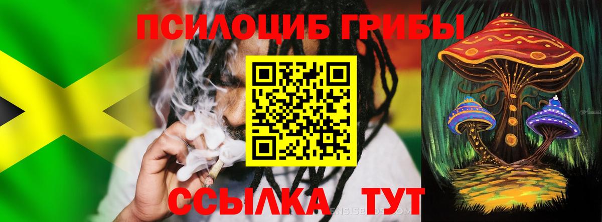 Киселёвск  цена   Вход с VPN  Псилоцибиновые грибы ЛСД 