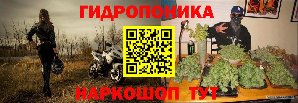 Марихуана SATIVA & INDICA Киселёвск
