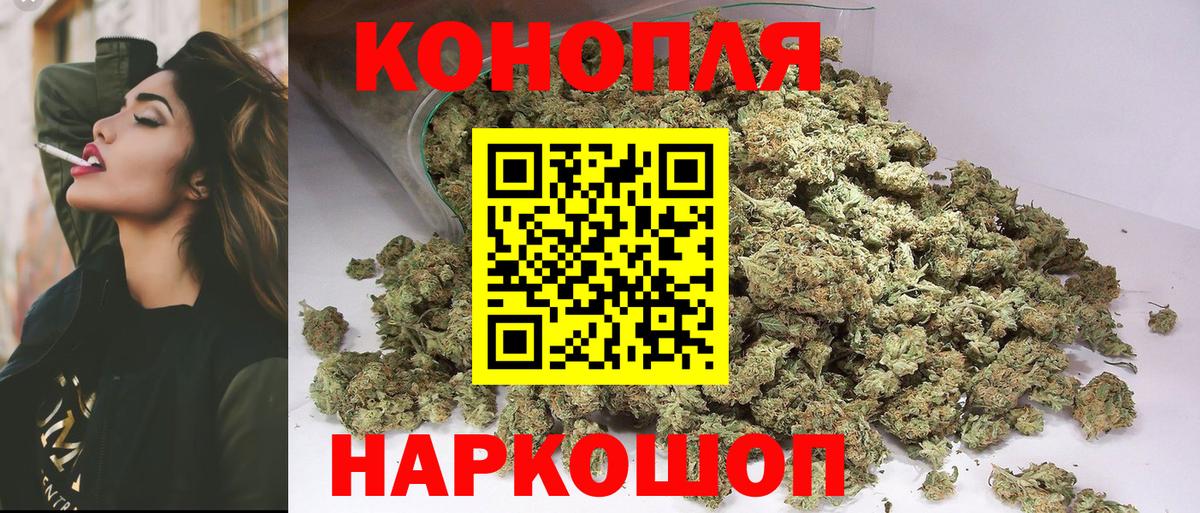 МАРИХУАНА Amnesia  Бошки марихуана план  Вход с VPN  МАРИХУАНА сатива  Каннабис OG Kush  Киселёвск 